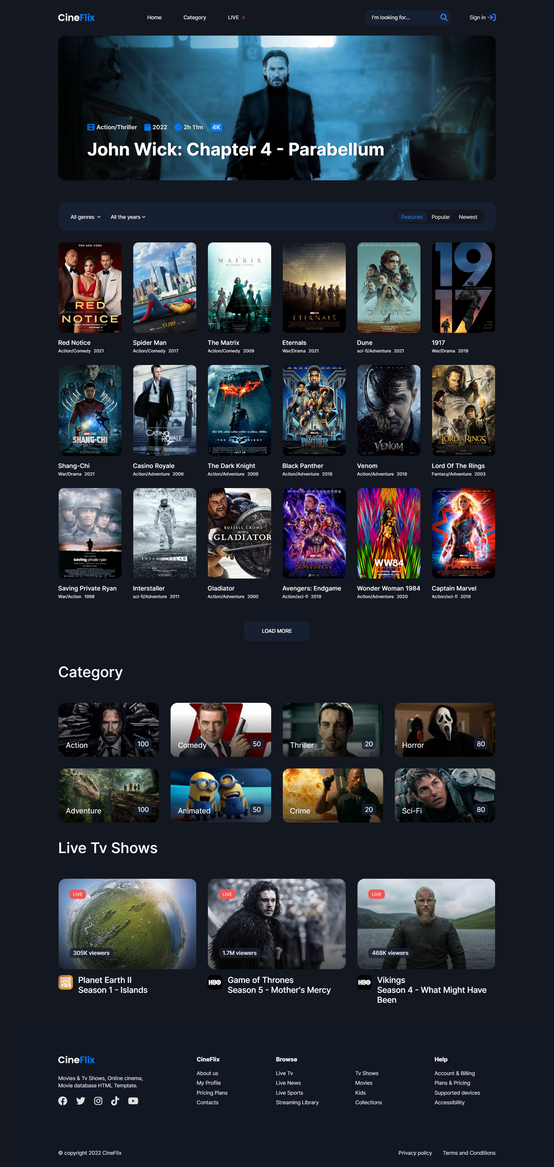 Cine Flix movie Template